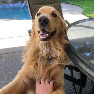 Meet your Posher, Jordan